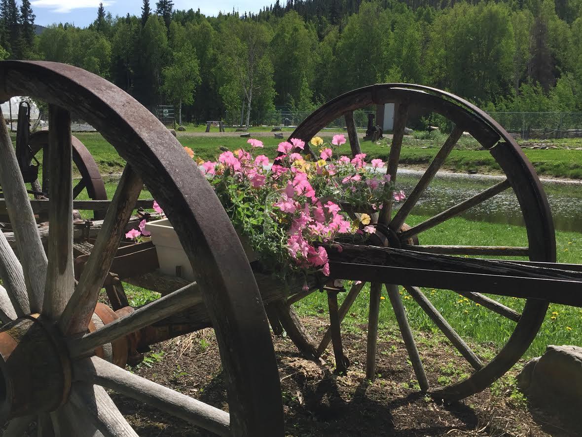 Chena Hot Springs Resort Exterior photo