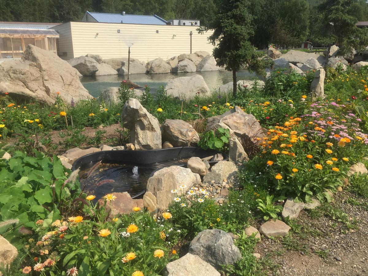 Chena Hot Springs Resort Exterior photo