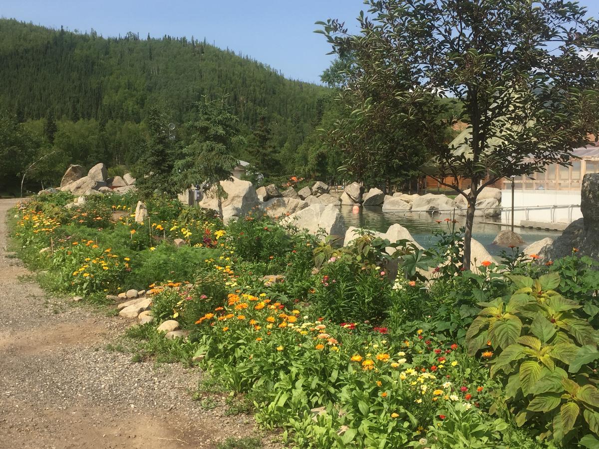 Chena Hot Springs Resort Exterior photo